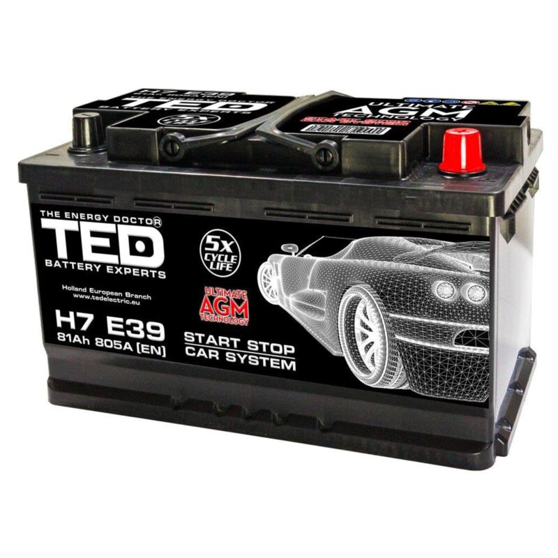12V 81Ah AGM Start-Stop Battery - TED Electric